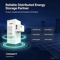 Système de stockage d'énergie commercial hybride distribué Growatt WIT 29.9K-50K-XHU 50~60kWh LiFePO4 en armoire