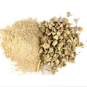 100% saf terrestrilus Terrestris meyve tozu yüksek kaliteli gıda sınıfı bitkisel özü en çok satan toplu maddeler - Product Image 2