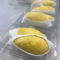 Thaise leveranciers importeurs diepvries Thaise Durian stukjes Monthong Premium kwaliteit 500g IQF export klaar zoet gouden vruchtvlees 14 dagen A4