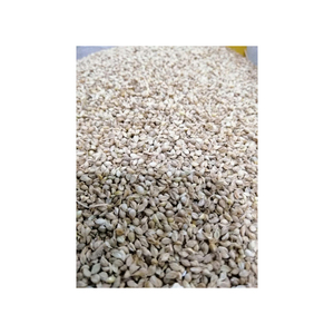Semillas de alpiste a granel suministro al por mayor a precios directos económicos de fábrica - Product Image 4