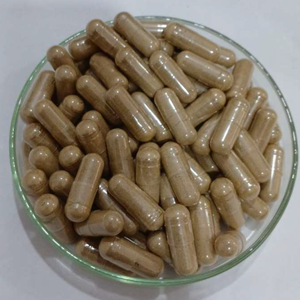 Cápsulas de Extracto Natural de Phyllanthus niruri (Amla), Grosella Espinosa India (Phyllanthus), Disponible para ODM/OEM - Product Image 3