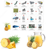 Complete fruitsap productielijn