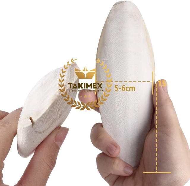 Polishing Desalted Cuttlefish Bones Cuttlebone Cuttlebones Os De Seiche Sepia With Holder Vietnam Biggest Factory