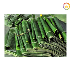 Hojas de plátano ecológicas para envasar alimentos, envolver y servir platos utilizados en la cocina vietnamita - Product Image 2