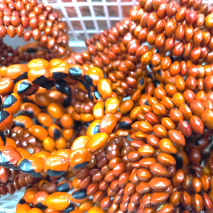 Pulsera Espiral Hecha a Mano con Semillas de Huayruro, Joyería Artesanal Ecológica y Moderna con Múltiples Hileras de Semillas de la Suerte - Product Image 1