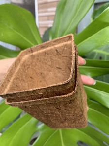 Eco2go Vietnam Good Quality, Good Price - Biodegradable Natural Pot for <b>Garden</b> Landscaping - Product Image 2