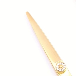 Kit de coiffure ensemble de ciseaux de coiffure ciseaux amincissants et de coupe, acier inoxydable, kit d'outils de coiffure de salon pour stylistes - Product Image 2