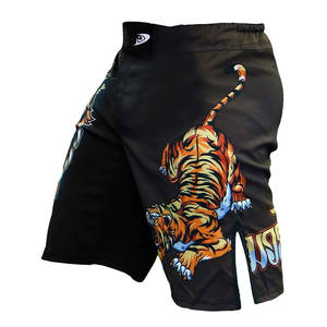 Short MMA de haute qualité, nouveau Short MMA sur mesure, meilleure matière, à vendre - Product Image 2