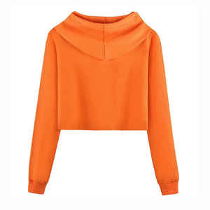 Logo personnalisé Streetwear femmes Crop Top Hoodies Pull femmes Crop Hoodie dames tenue décontracté 2025 - Product Image 2