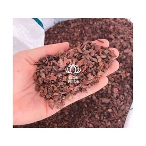 CUSTOMER APPROVED Pine Bark Mulch for Effective Weed <b>Barrier</b> and Sustainable Soil Amendment for Professional Nursery Growing - Product Image 1