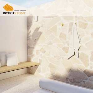 Dalles de pavés en pierre calcaire classiques COTRUSTONE, dalles de pavés <span class=keywords><strong>CRAZY</strong></span> PAVERS, dalles de travertin pour piscine, pour la décoration extérieure - Product Image 2