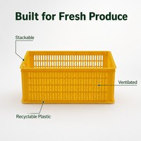 Caisses en plastique recyclables empilables et écologiques avec logo et couleur personnalisés pour le stockage et la logistique des fruits et légumes