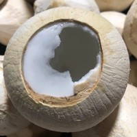 Coco Entero Pulido de Vietnam para Grandes Cadenas de Tiendas e Importadores
