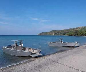 Pequeña embarcación de transporte de 6 m (20 pies), barco de desembarco, barco de carga, embarcación de desembarco - Product Image 3