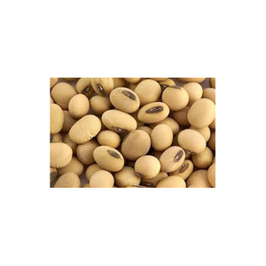 Grano de soja en bolsas, semillas de soja orgánicas a granel, soja de alta calidad, semillas de soja a la venta, brotes de soja amarilla - Product Image 1