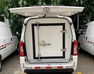 WULING EV RefrigeratorTruck Pure New Energy <b>Freezer</b> Cold <b>Box</b> 41.86kWh CATL Battery 245km Frozen Vaccine - Product Image 6