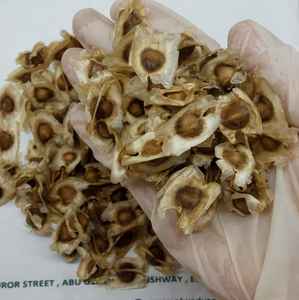 Graines de moringa de haute qualité-bio et Nin-Ogmo approvisionnement en vrac - Product Image 3