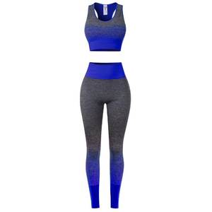 Combinaison active de couleur dégradée pour femmes vêtements de sport sans couture pour Sport Gym Workout Yoga Gear-Washed Technique Ladies' Set - Product Image 3