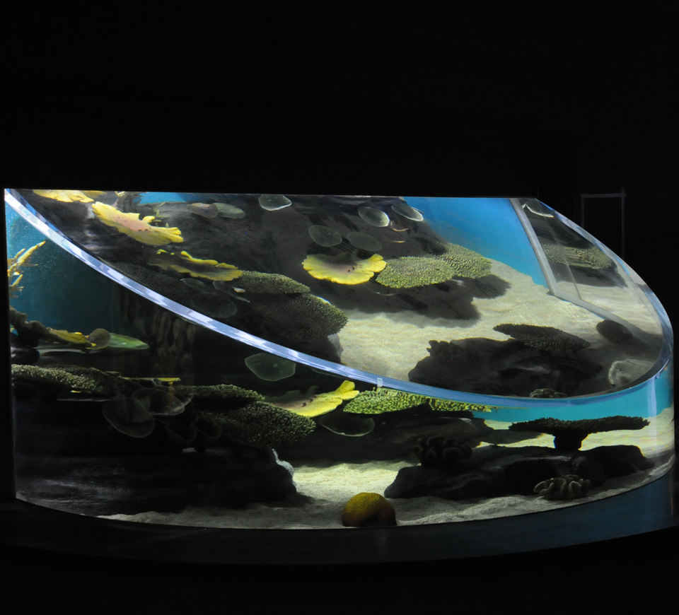 PG Acrylic - Durable, Clear, and Customizable Fish Tanks