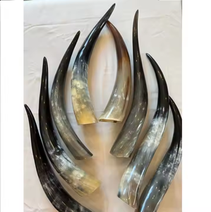 leak proof lid vacuum insulation coffee <b>mug</b> Trendy Horn <b>Mug</b> <b>for</b> <b>Men</b> and Women Genuine Handcrafted by crescent crafts - Product Image 2