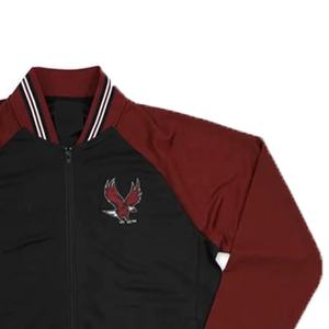 Chándal personalizado para hombres con logotipo de universidades de hermandades deportivas de invierno, traje informal de talla grande para entrenamiento de secado rápido, ropa para correr impresa - Product Image 4