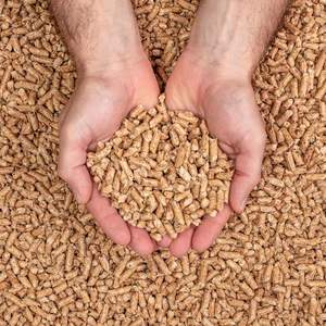 Briquetas de haya/roble/álamo de la mejor calidad, combustible de biomasa, pellets de madera de pino y roble, bolsas de aserrín de 6mm, precio competitivo por tonelada - Product Image 1