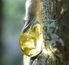 น้ำมันหอมระเหยบริสุทธิ์น้ำมันผสมชาผสมน้ำมันหอมระเหยยูคาลิปตัสกลิ่นกำยานส้ม - Product Image 3