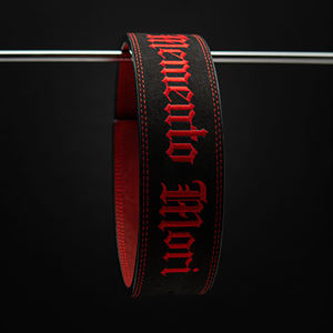 Ceinture de musculation avec boucle à levier de 10 mm d'épaisseur, logo brodé personnalisé, pour squats, entraînements de musculation, soutien du dos, crossfit, powerlifting - Product Image 2