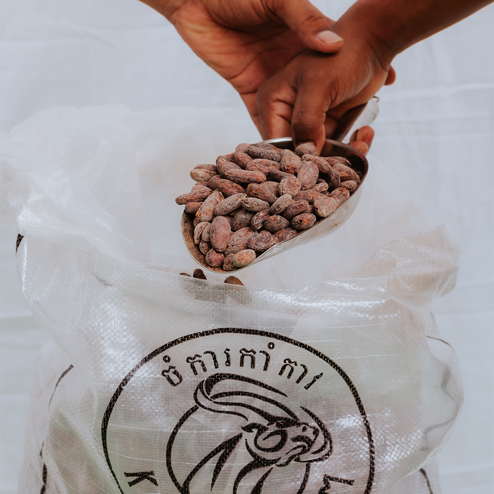 cacao nibs ceremonial