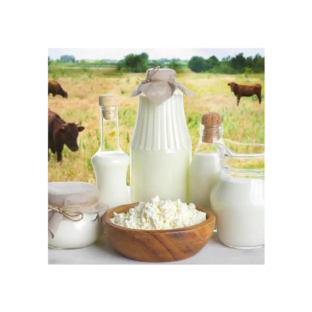 Wholesale Skim milk powder high quality skimmed milk powder Low price