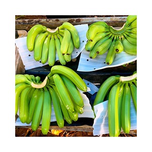 คุณภาพส่งออก 100% กล้วย Cavendish สดอินทรีย์จากเวียดนามเกรด A ขนาด 4/5/6/7/8 G9 กล้วยซัพพลายเออร์ชั้นนําราคาถูก - Product Image 5
