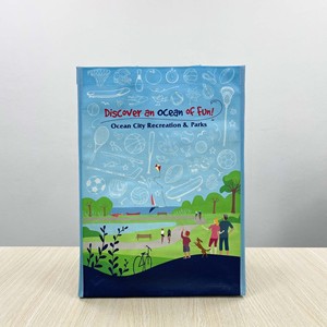 Sac de courses réutilisable en sangle PP pour supermarché, poignées imprimées en héliogravure, sac tissé en PP en plastique BOPP du Vietnam - Product Image 6