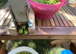 Machine à écraser les olives manuelle - Outil professionnel pour dénoyauter les olives et briseur d'olives pour usage domestique pour les olives vertes et noires - Product Image 3