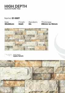 Carreaux muraux extérieurs en porcelaine 300x600mm Série Élévation - Product Image 5