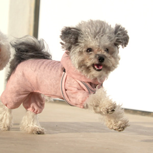 Vêtements pour chien ZHONGYA anti-insectes et anti-moustiques, protection solaire, en maille de soie glacée, séchage rapide, pour l'été - Product Image 6