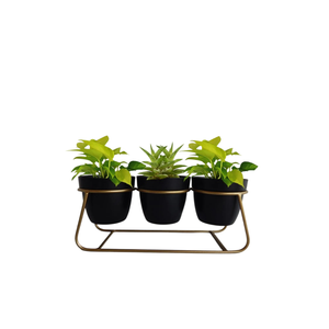 Plato de oro de metal de calidad superior Juego de patas elegantes 2 macetas de diferentes tamaños Macetas Buen precio Soporte para macetas de plantas de jardín - Product Image 5