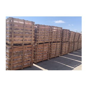 Sel naturel de l'Himalaya pour le léchage des animaux riche en minéraux et en protéines sculpté à la main dans les plus hautes mines de sel asiatiques - Product Image 3