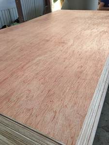 Contreplaqué commercial de conception moderne 2,7 mm-18 mm Placage de bois Bintangor/Okoume/Peuplier Normes d'émission de formaldéhyde E2 1 an - Product Image 6