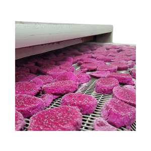 IQF Frozen Dragon Fruit Vietnam de alta calidad - Product Image 1