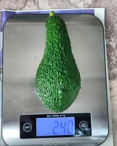 Aguacate Hass Orgánico al por Mayor - Fresco, Natural, Calidad de Exportación, Grado Superior - Product Image 3