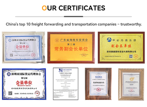 Spedizioniere Internazionale Professionale, Trasporto Aereo di Alta Qualità e Spedizione DDP dalla Cina a USA/UE/UK/AU/CA - Product Image 6