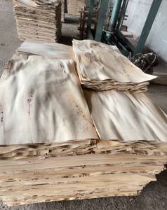 Placage bois caoutchouc - Product Image 5