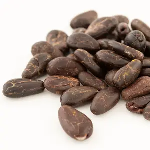 Biji Kakao Kualitas Terbaik-Biji Kakao-Kacang Coklat untuk Ekspor