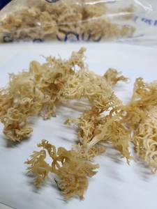 Venta caliente seamoss Jamaican seamoss tarros - Product Image 6