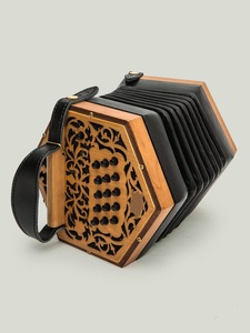 Acordeón Profesional para Música Folclórica y Tradicional - Product Image 6