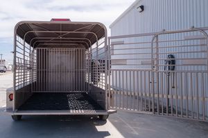 Company Supply For High Quality 5, 8, 14, 15, Tons Animal and Livestock Transport <b>Trailer</b> 3 Axle with Convenient Climbing Frame - Product Image 3