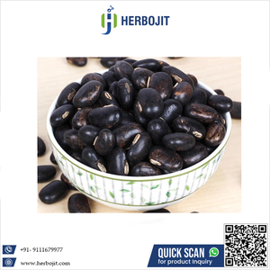 Herbojit Mucuna pruriens ธรรมชาติบริสุทธิ์100% 5กก. - Product Image 6