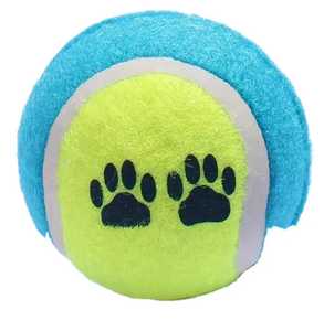 Lichtgroene Tennisbal Training Tennisballen Voor Professionals Cricketbal Voor Trainers/Logo En Kleur 2025 Aanpassen