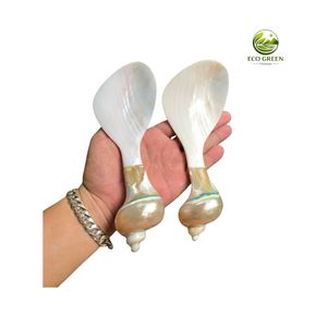 Natural Mother of Pearl <b>Spoon</b> Handmade Seashell <b>Spoon</b> with Resin Handle Luxury Caviar Dessert <b>Coffee</b> <b>Spoon</b> OEM ODM Custom Logo - Product Image 3