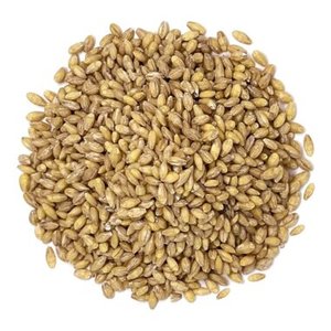 Organic Dried Barley <b>Seeds</b> Barley Malt Bulk Wholesale Factory Direct <b>Storage</b> Type Cool Dry Place 2 Year Shelf Life - Product Image 4